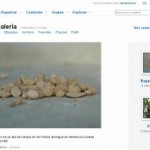 Me he abierto una cuenta en Flickr