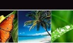 comprar posters online