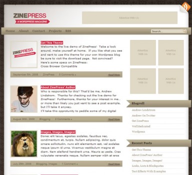 zinepress theme 384x350 zinepress theme