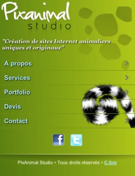 pixanimal mobile web design showcase 269x350 pixanimal mobile web design showcase