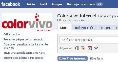 colorvivo fans facebook
