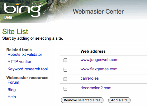 bing para webmasters